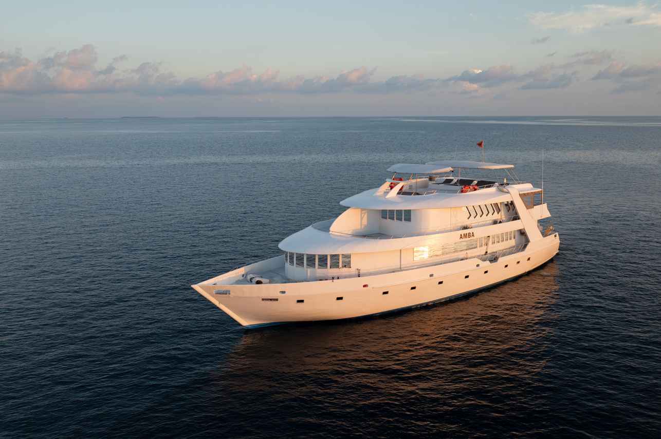 Amba Liveaboard