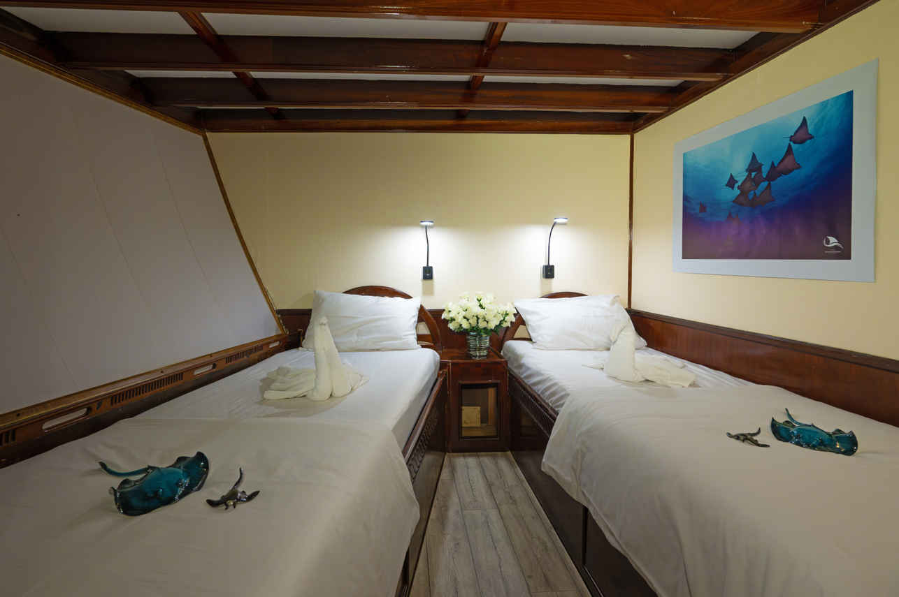 Twin Cabin - Amba Liveaboard