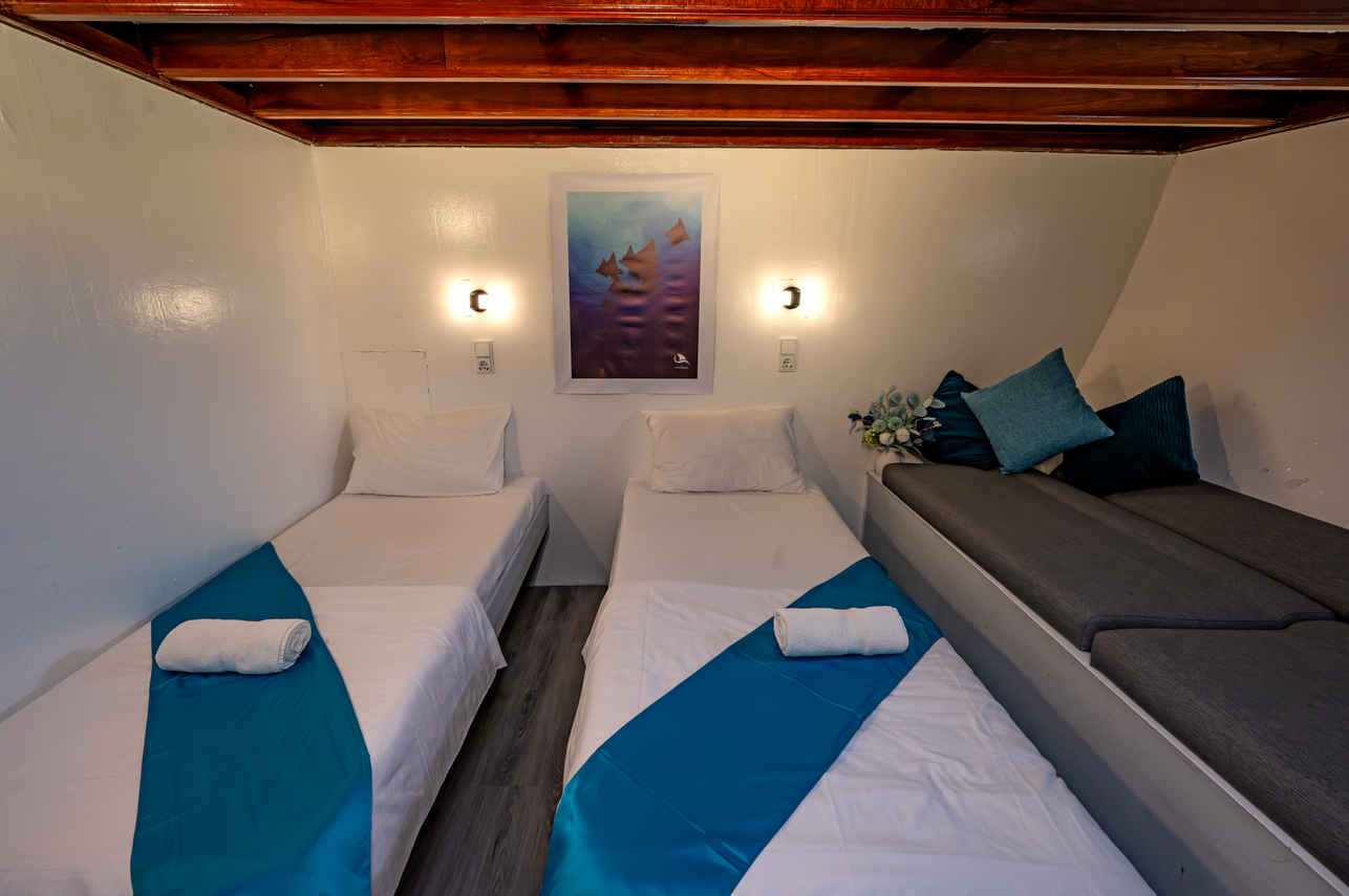 Twin Cabin - Amba Liveaboard