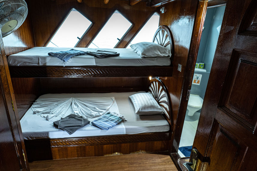 Triple Cabin - Amba Liveaboard