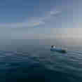 Dinghy