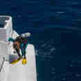 Diving Dhoni - Carpe Vita