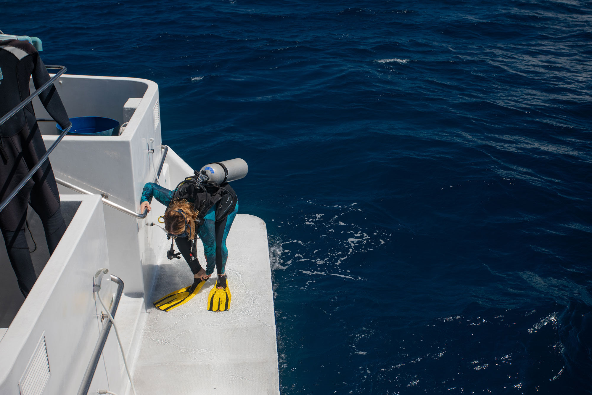 Diving Dhoni - Carpe Vita