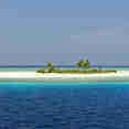Island Exploration - Carpe Vita