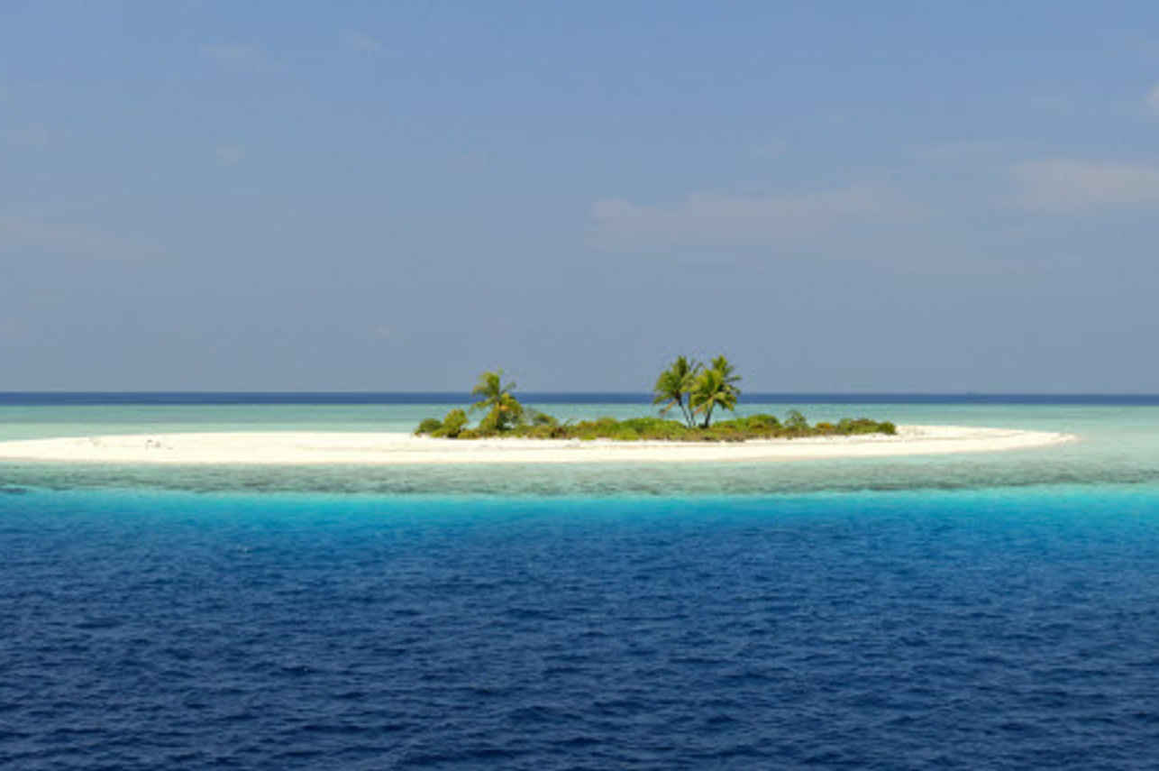 Island Exploration - Carpe Vita
