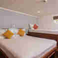 Standard Cabin - Carpe Vita