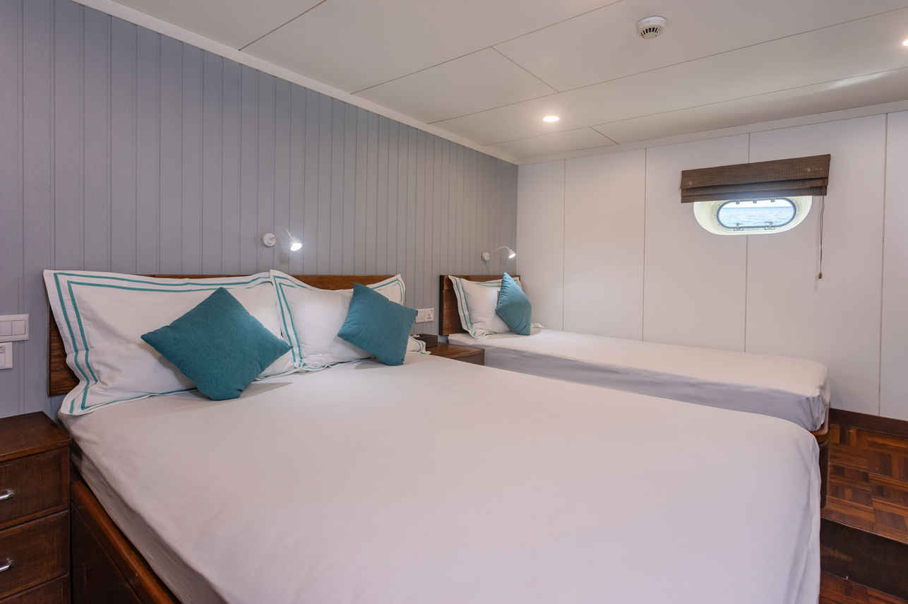 Standard Cabin - Carpe Vita