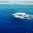 Diving Dhoni - Carpe Vita