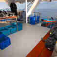 Dive deck - Mermaid I
