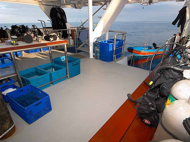 Dive deck - Mermaid I