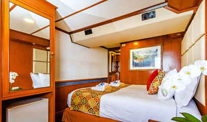 Deluxe Cabins