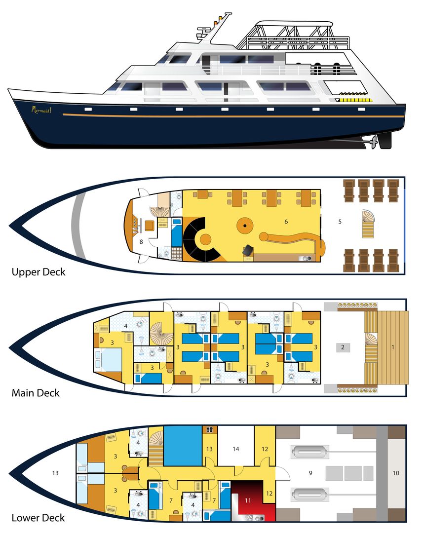 #deckplan floorplan