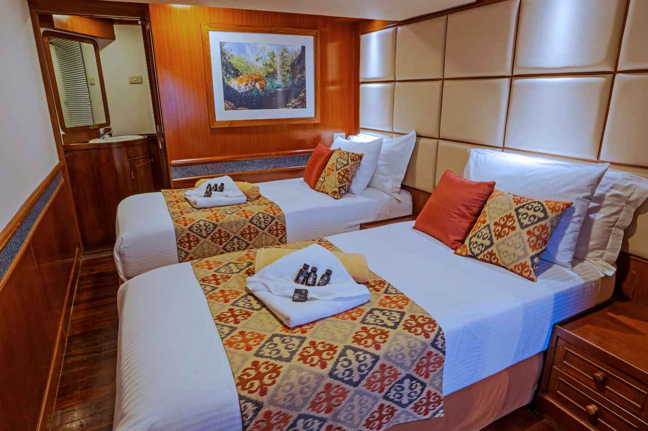 Deluxe Cabin - Mermaid I