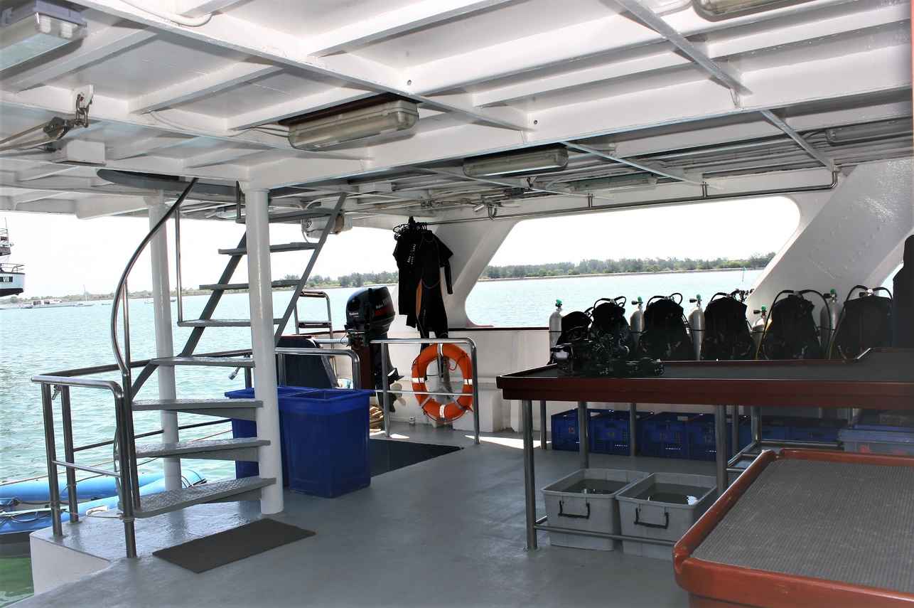 Dive deck - Mermaid I