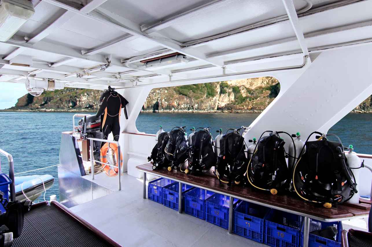 Dive deck - Mermaid I