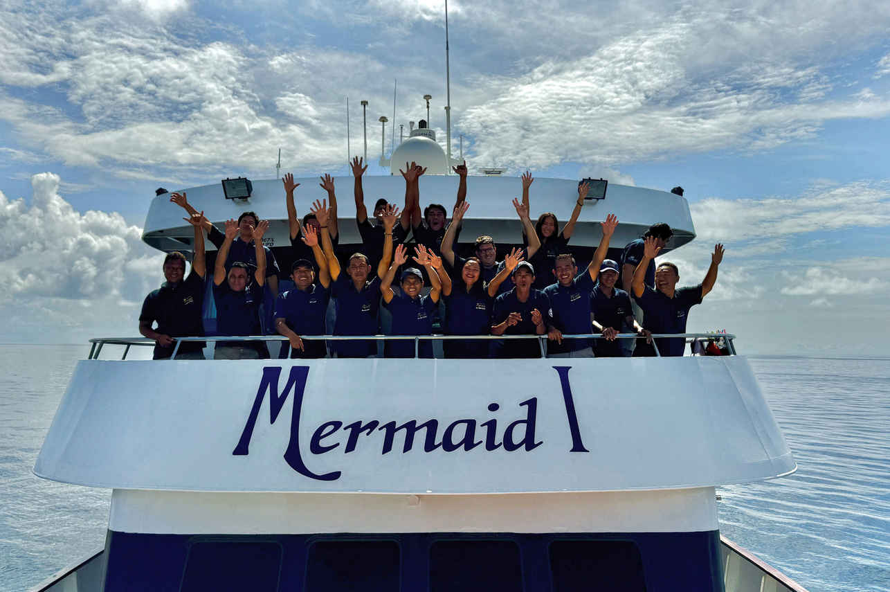 Equipaggio - Mermaid I