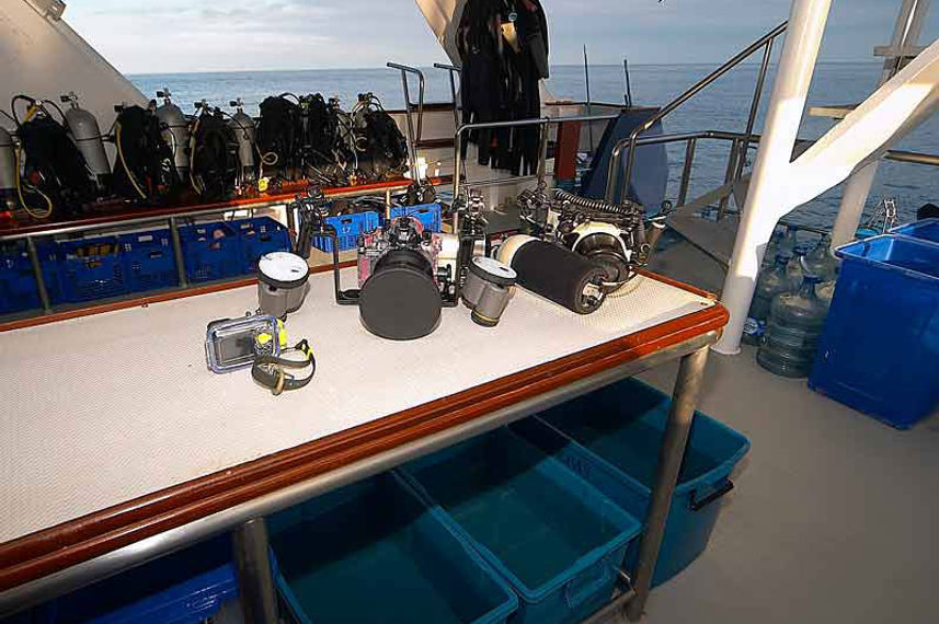 Dive deck - Mermaid I