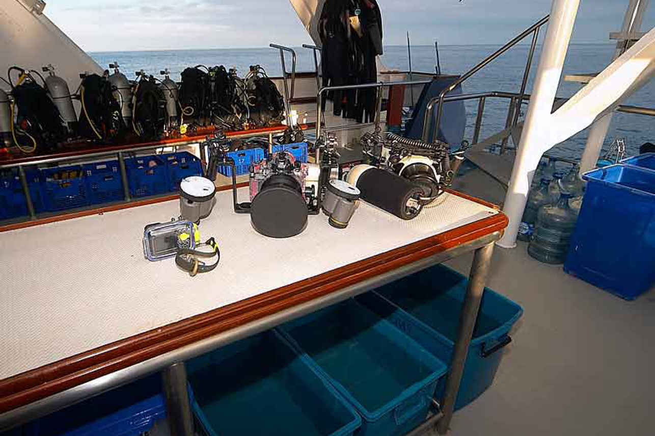 Dive deck - Mermaid I