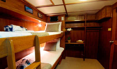 Budget Cabin