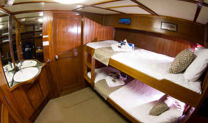 Budget Cabin