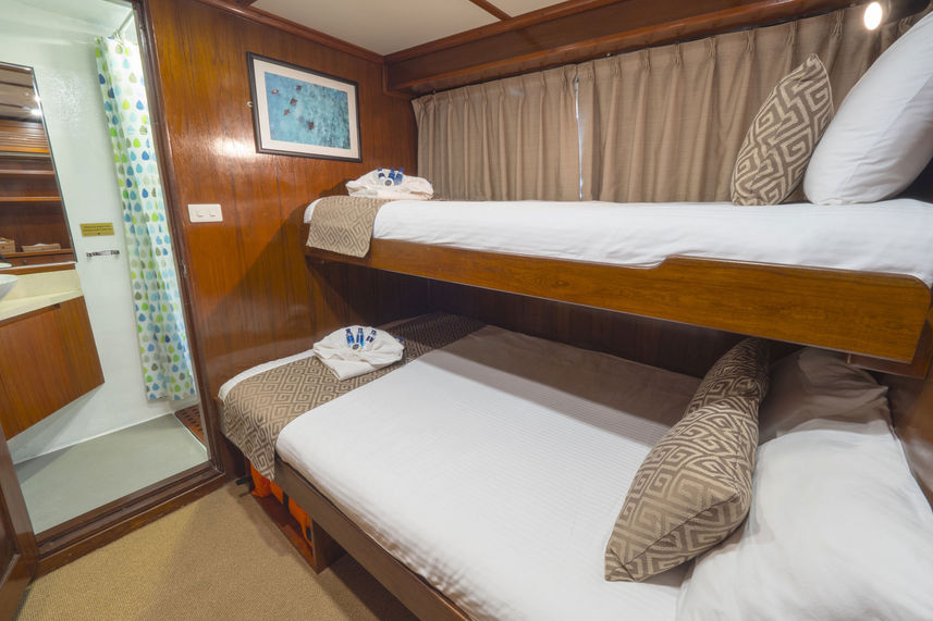 Deluxe twin Cabin