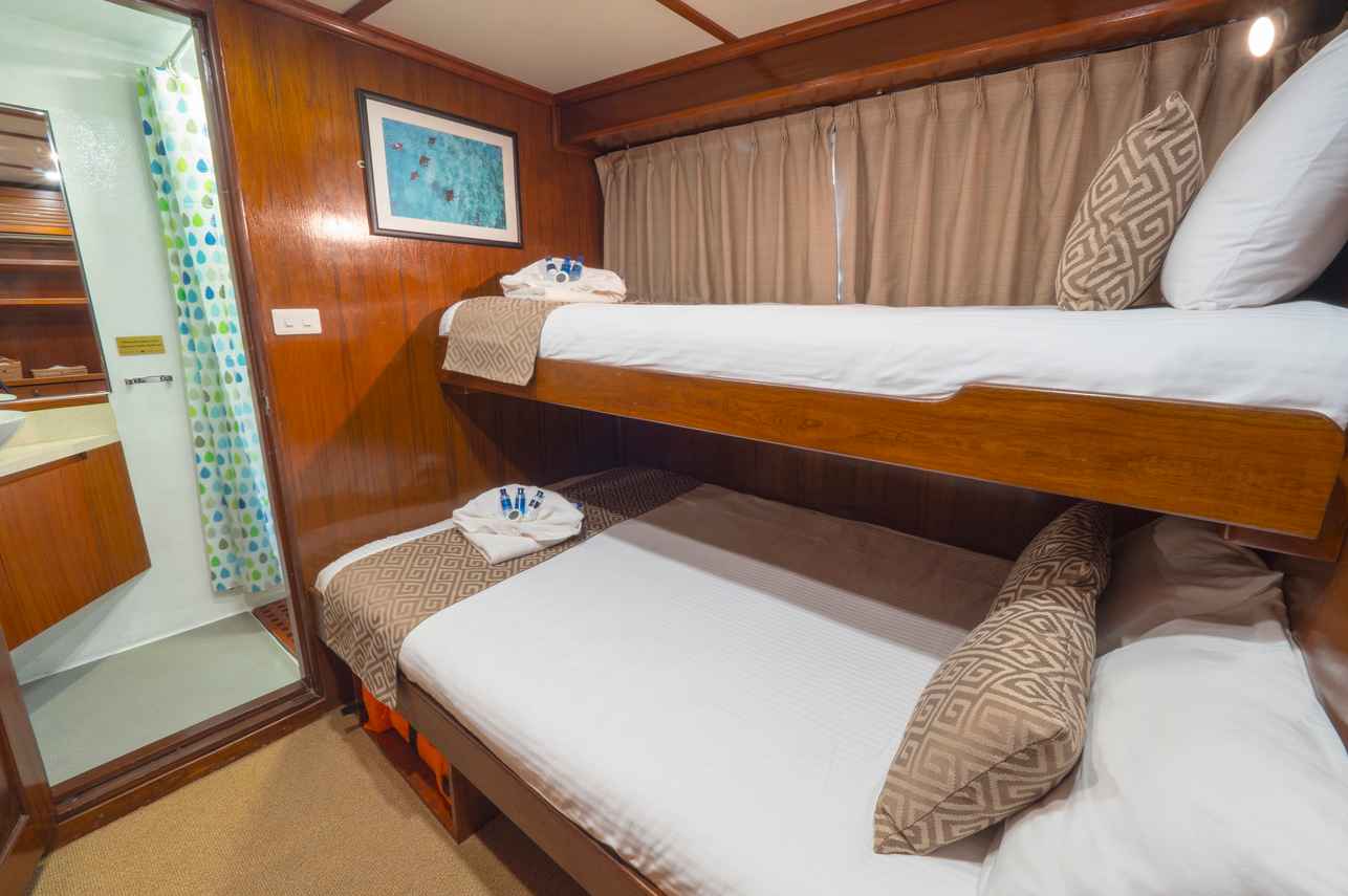 Deluxe twin Cabin