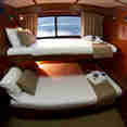 Twin Cabin - Mermaid II