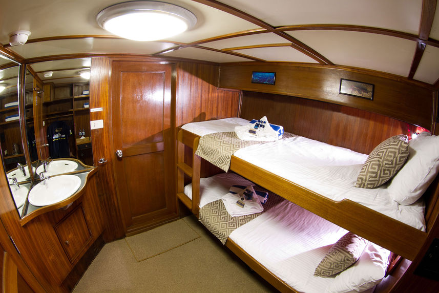 Budget Cabin - Mermaid II