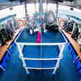 Dive deck - Spoilsport