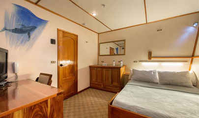 The Cabins