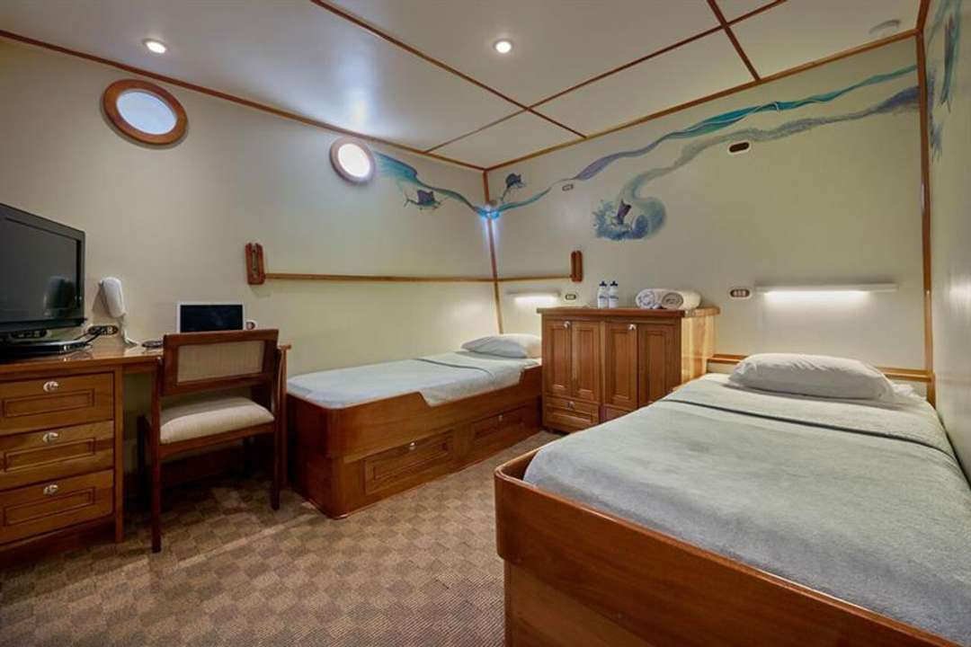 #twincabin