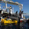 Dive Platform - Argo