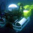 Dive Platform - Argo