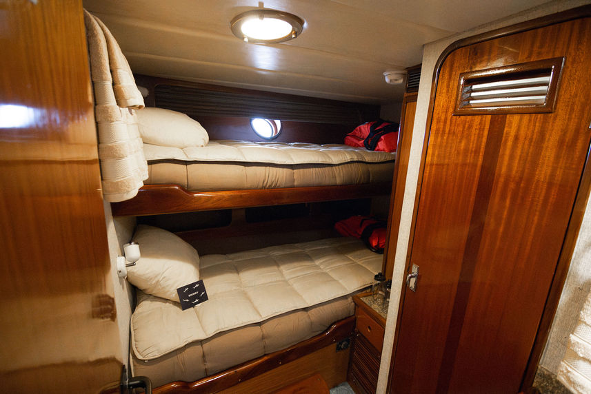 Standard Cabin - Solmar V