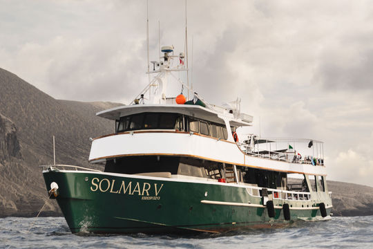 Solmar V