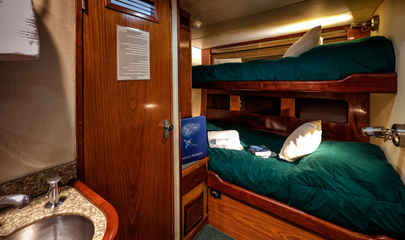 Standard Cabins