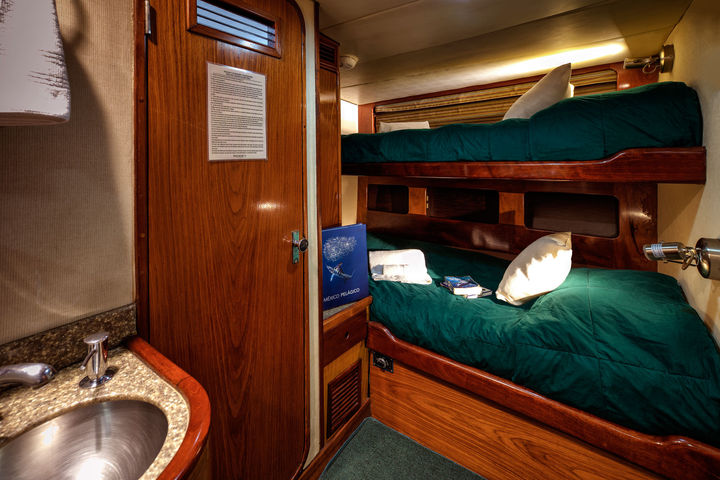 Standard Cabins