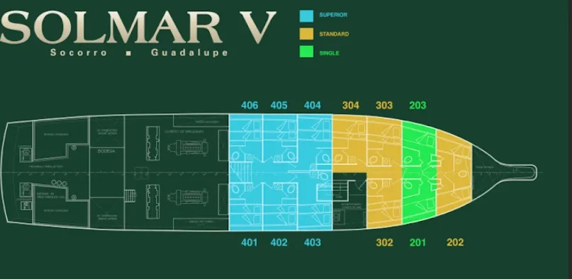 disposizione del ponte