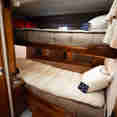 Standard Cabin - Solmar V