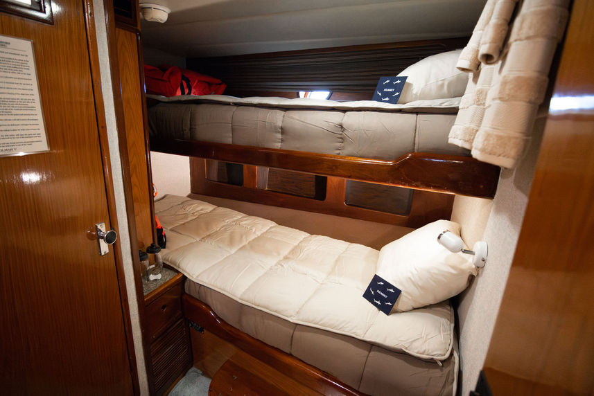 Standard Cabin - Solmar V