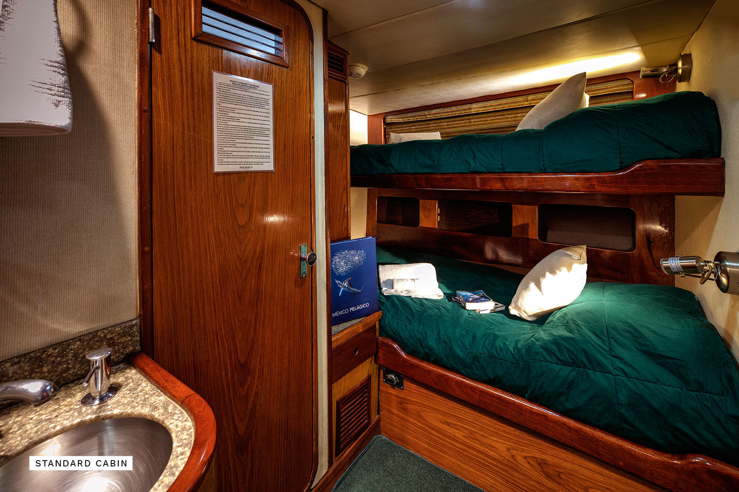 Standard Cabin - Solmar V