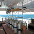 Dive deck - Blue Fin