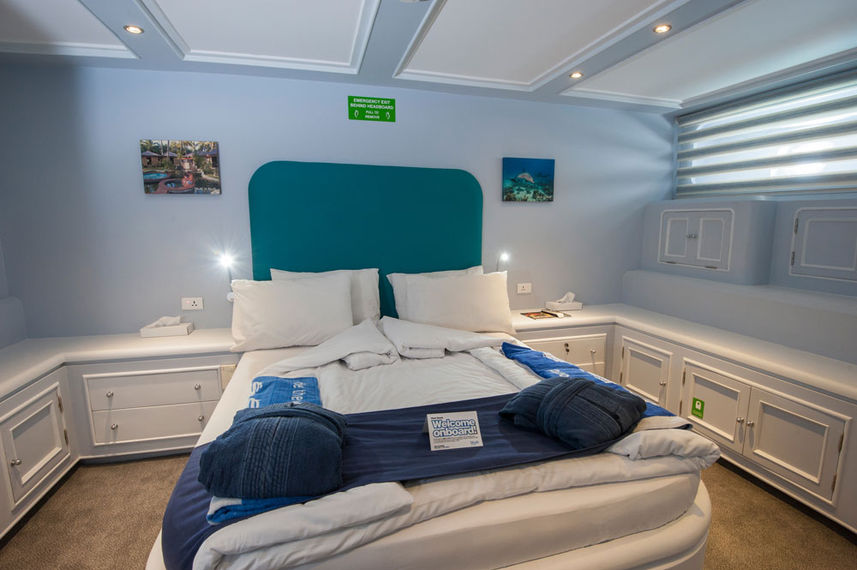 Suite - Blue Fin