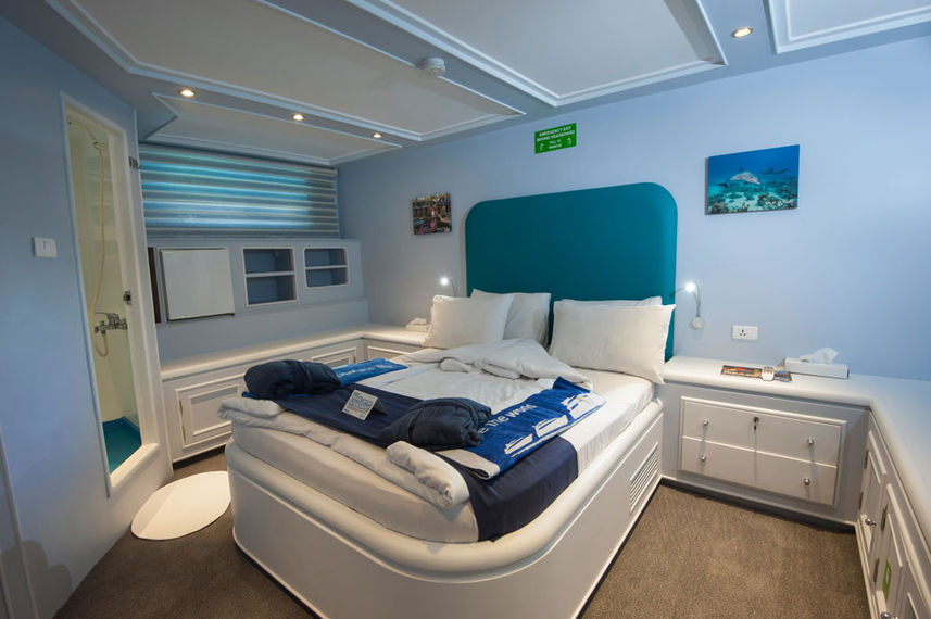 Suite - Blue Fin