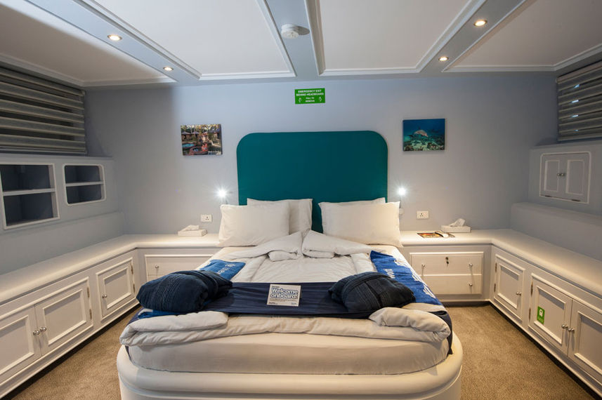 Suite - Blue Fin