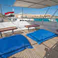 Sun Deck - Blue Fin