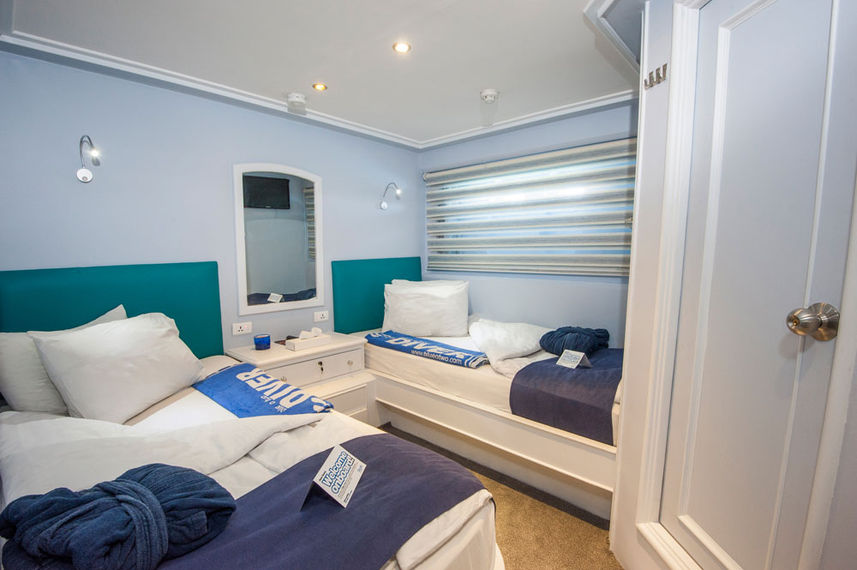 Twin Cabin - Blue Fin
