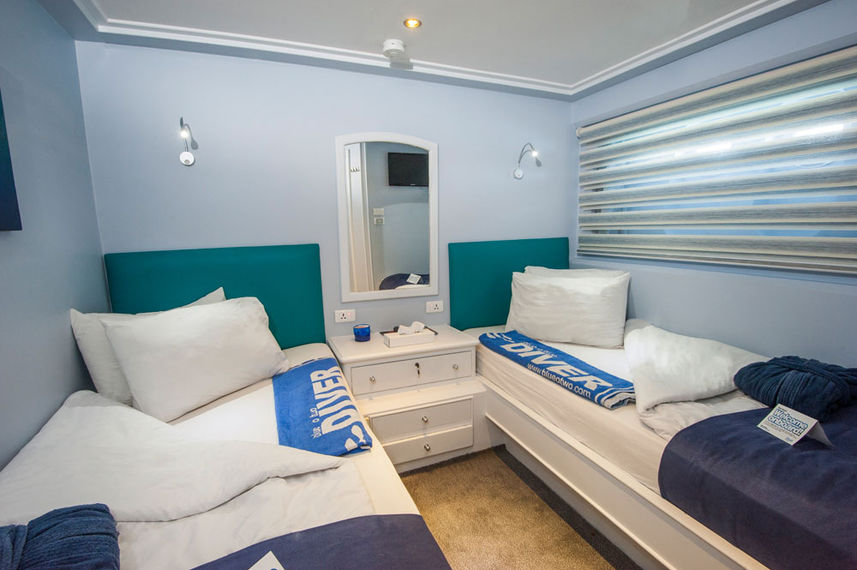 Twin Cabin - Blue Fin