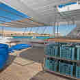 Dive deck - Blue Fin