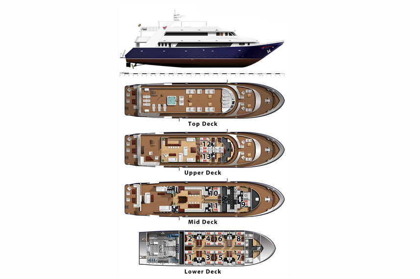 #deckplan floorplan